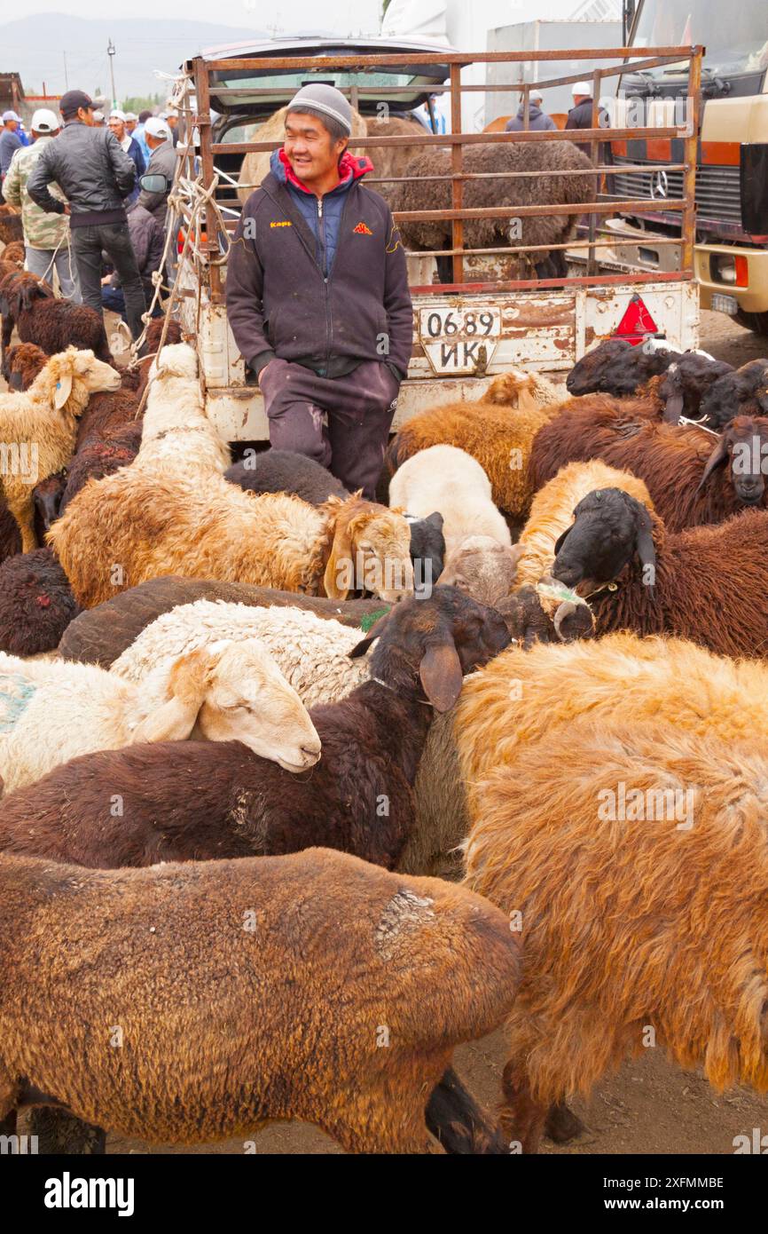 Uomo con coda grassa o pecora Dumba al mercato degli animali di Karakol. Kirghizistan. Luglio 2016. Foto Stock