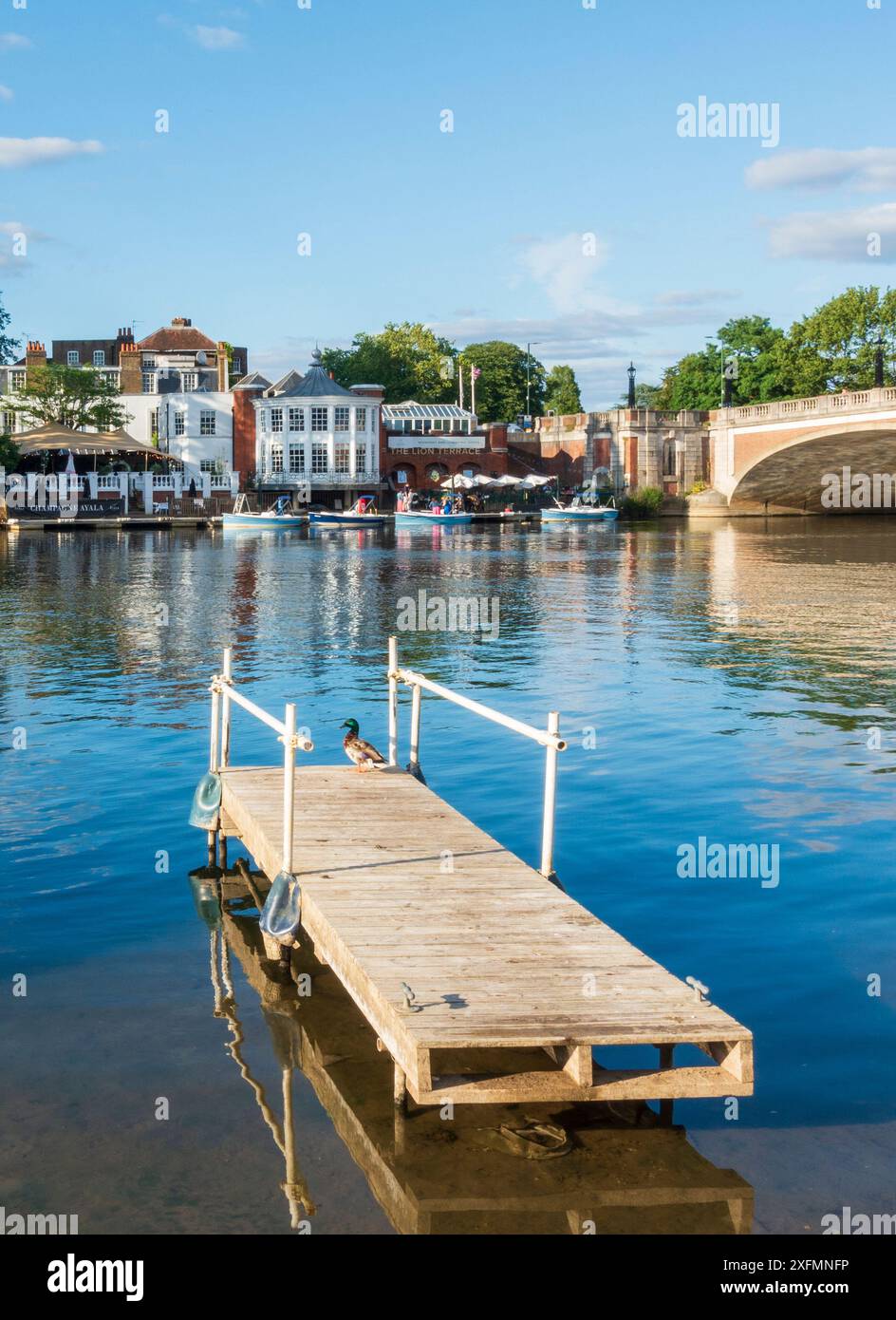 Il Tamigi all'Hampton Court Bridge, vicino a Londra Foto Stock