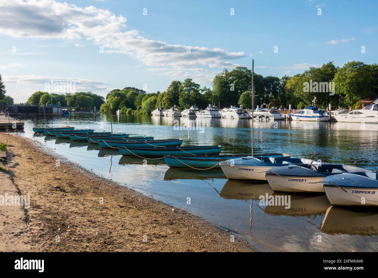 Barche fiancheggiate sulla riva del Tamigi a East Moelesey, Surry, Inghilterra, in estate Foto Stock