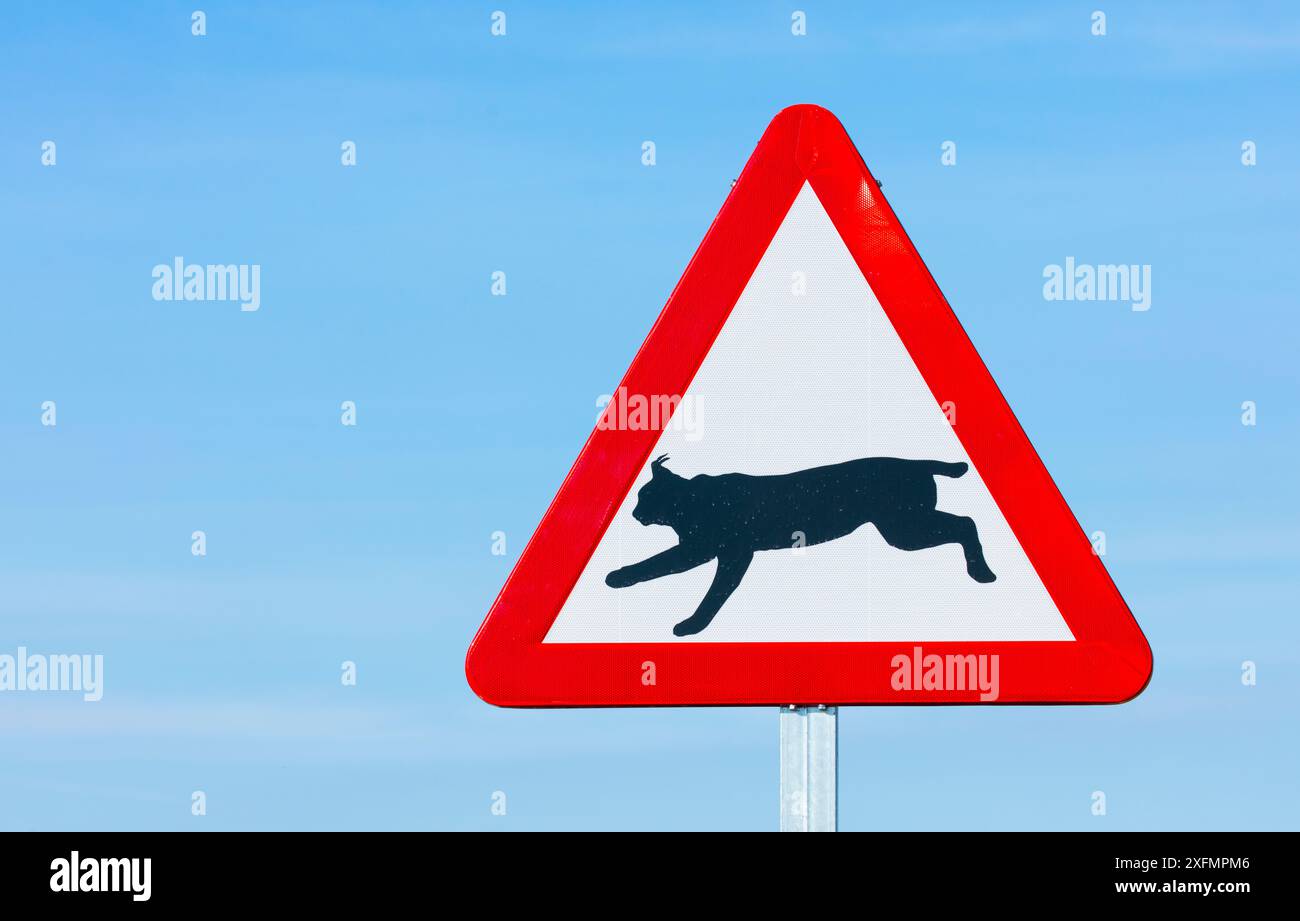 Segnale di avvertimento stradale della lince iberica (Lynx pardinus), Badajoz, Estremadura, Spagna, febbraio 2016. Foto Stock