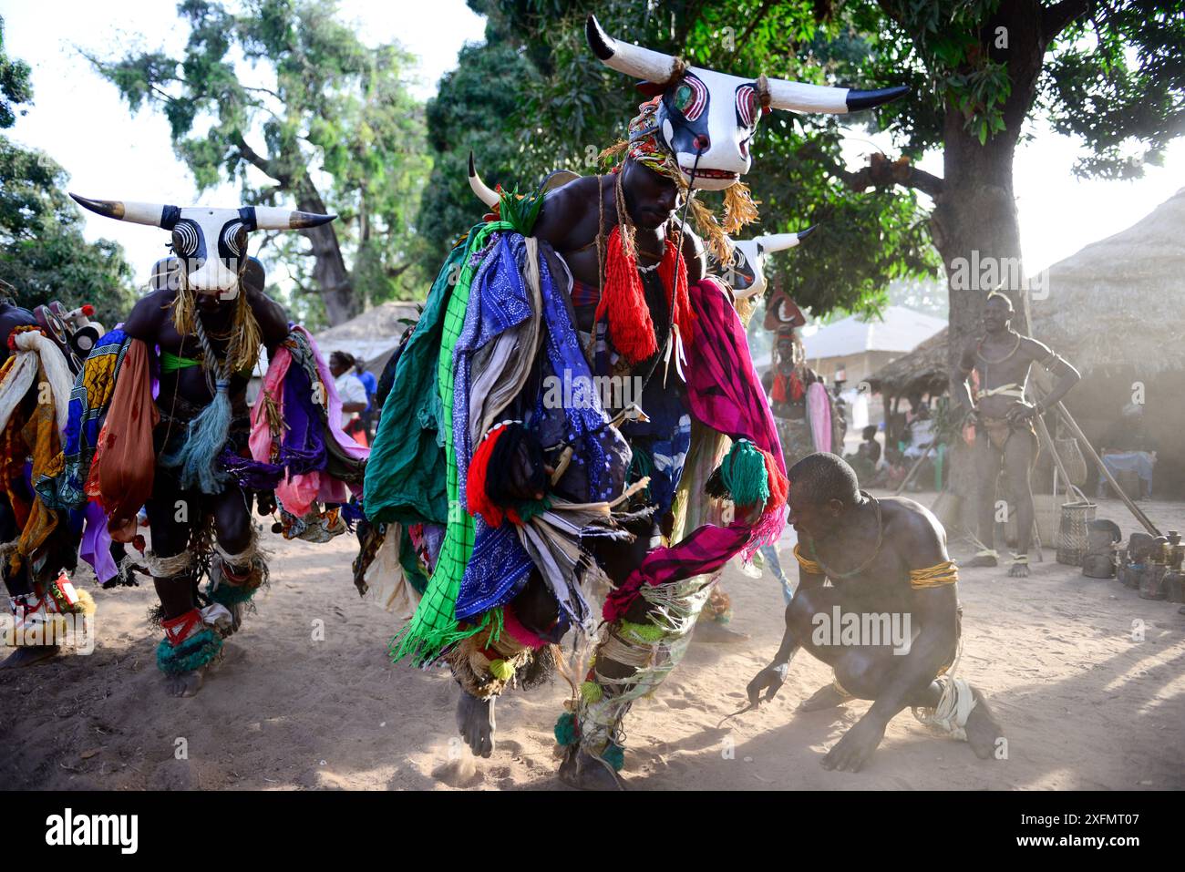 Ballerini che indossano costumi colorati e maschere di toro, isola di Formosa, riserva della biosfera dell'UNESCO di Bijagos, Guinea Bissau, febbraio 2015. Foto Stock