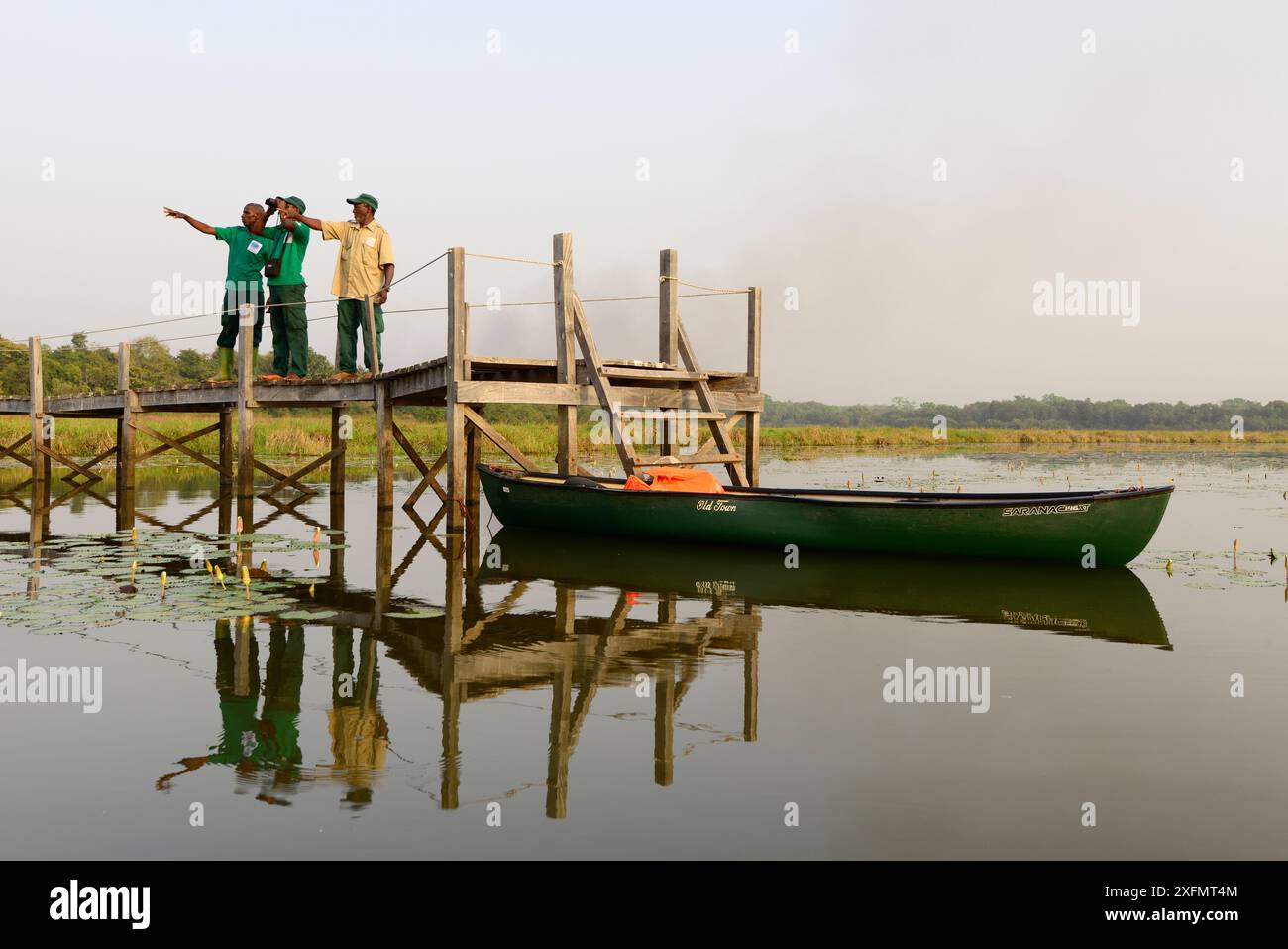 I ranger del parco che puntano dal molo con la canoa ormeggiata sotto, il Parco naturale delle lagune di Cufada (Lagoas de Cufada), Guinea Bissau. Febbraio 2015 Foto Stock