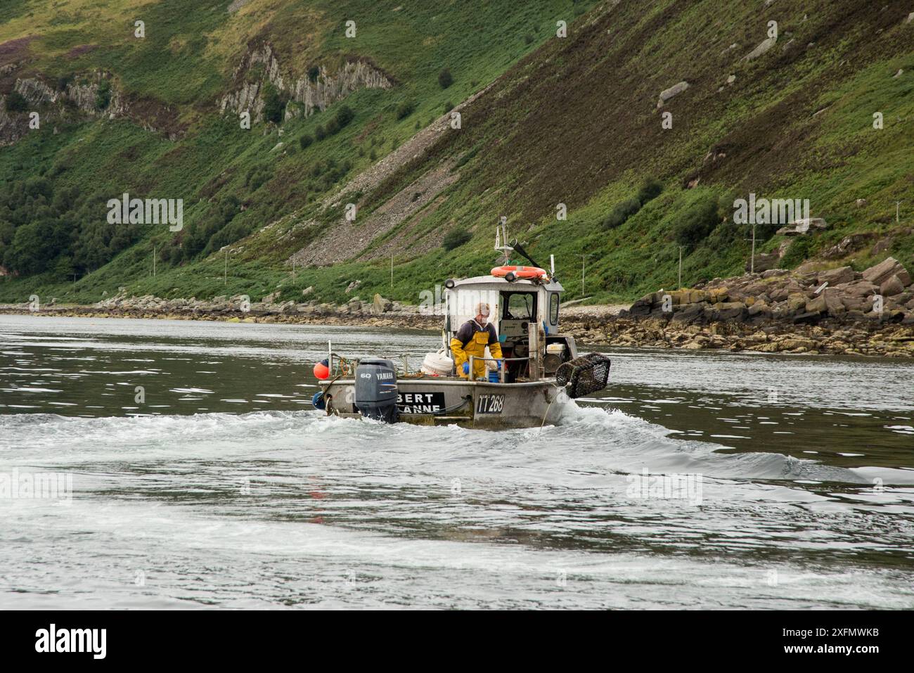 Fisherman schierando vasi di aragosta dalla barca, Lamlash Bay, Isola di Arran, South Arran Marine Protected area, Scozia, Regno Unito, agosto 2016. Foto Stock