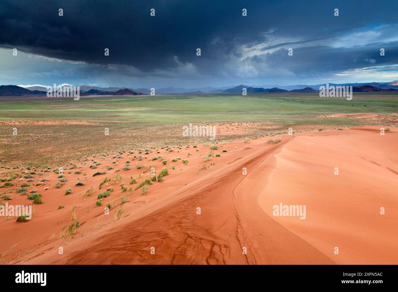 Paesaggio del deserto della Namibia con temporali, visto dalle dune di sabbia,. Namib Rand, Namibia, febbraio 2011. Foto Stock