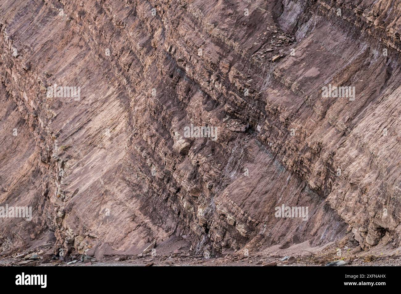 Strati rocciosi stratificati, Joggins Fossil Cliffs, sito patrimonio dell'umanità dell'UNESCO, Bay of Fundy, nuova Scozia, Canada. Maggio 2017 Foto Stock