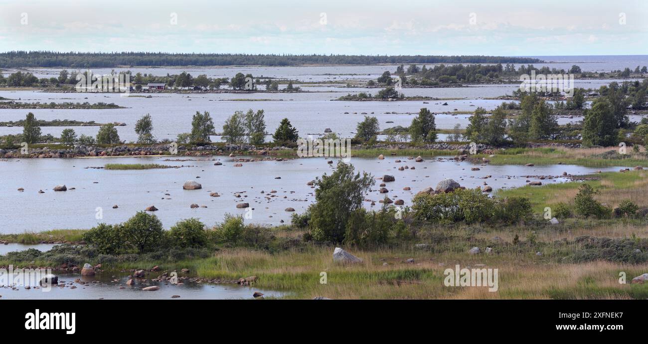 Creste moreniche de Geer, area di depositi glaciali, Kvarken, alta costa / Arcipelago del Kvarken, Patrimonio naturale dell'Umanità dell'UNESCO, Finlandia, giugno Foto Stock