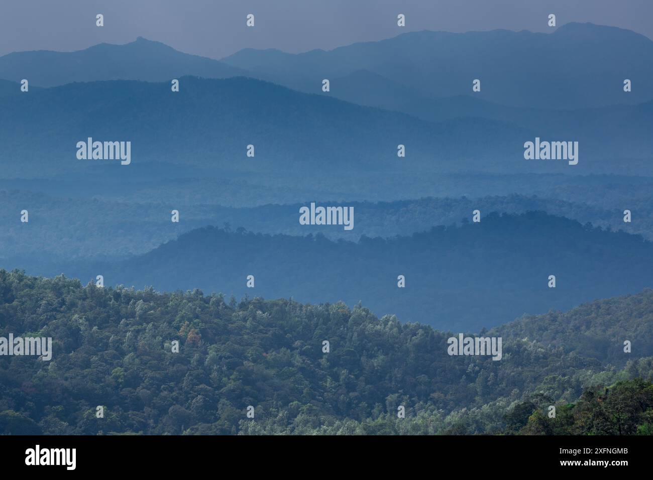 Pendii di montagna coperti dalla foresta pluviale, Ghati occidentali, patrimonio naturale dell'umanità dell'UNESCO, India. Novembre 2013. Foto Stock