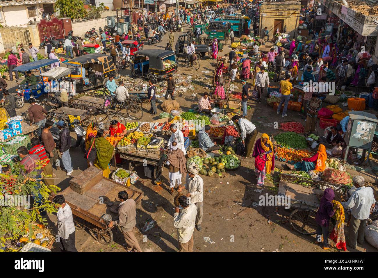 Mercato ortofrutticolo nella città vecchia, Jaipur, Rajasthan, India, subcontinente indiano, Asia. Foto Stock