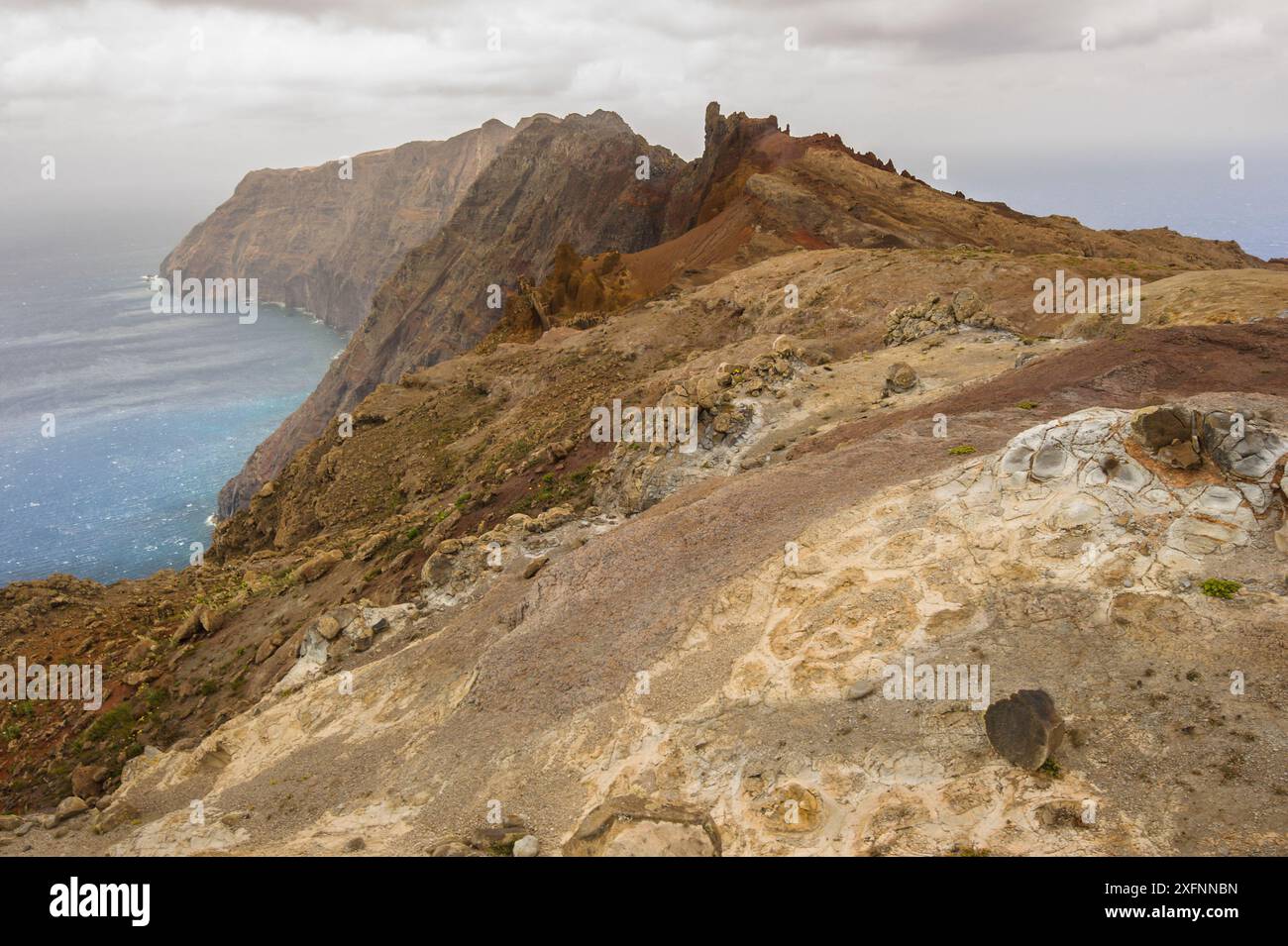 Deserta grande, Madeira, Portogallo, 2013. Foto Stock