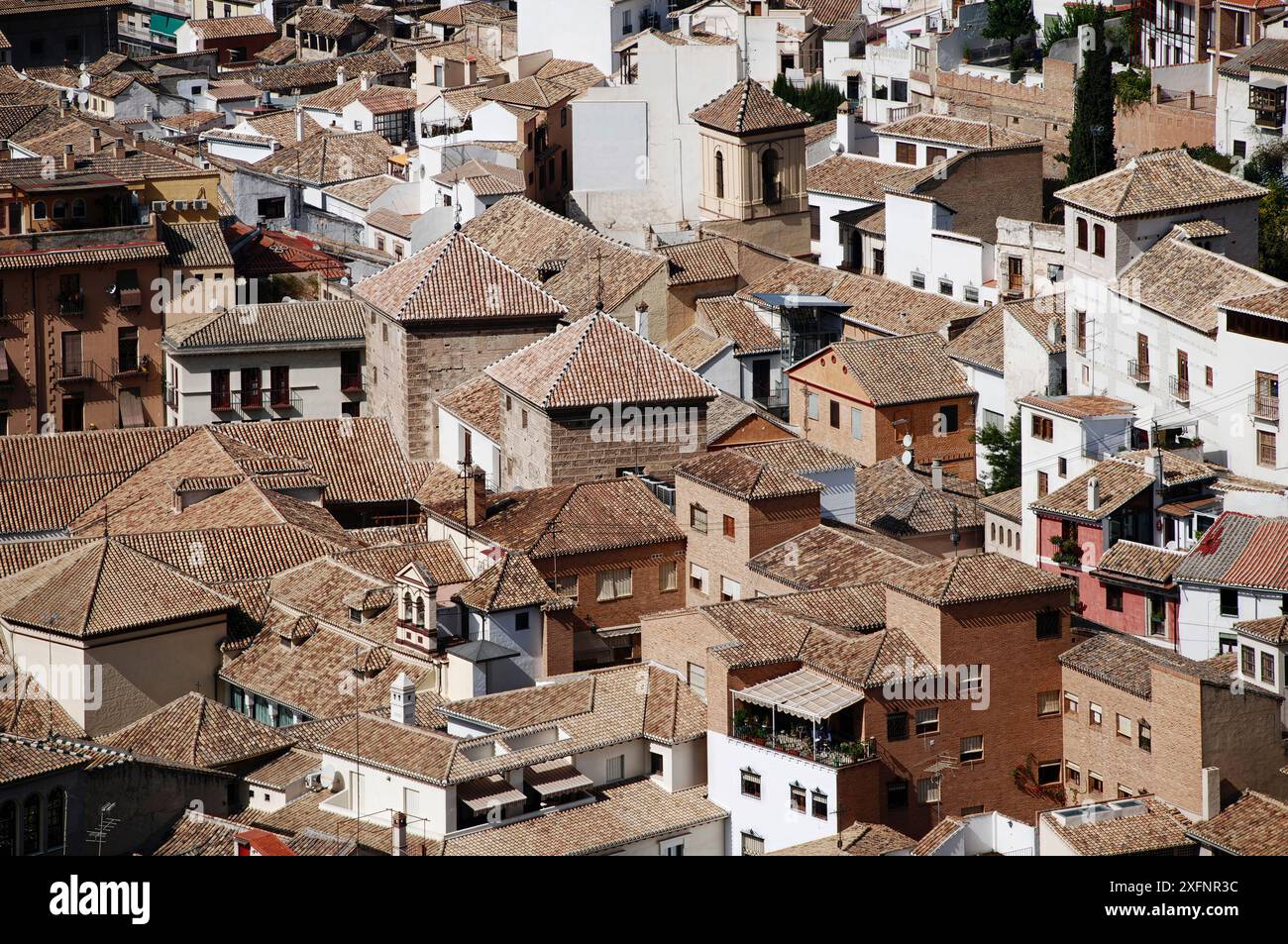 Una delle fontane dei Giardini Generalife, situata all'interno del complesso dell'Alhambra a Granada, Spagna Foto Stock