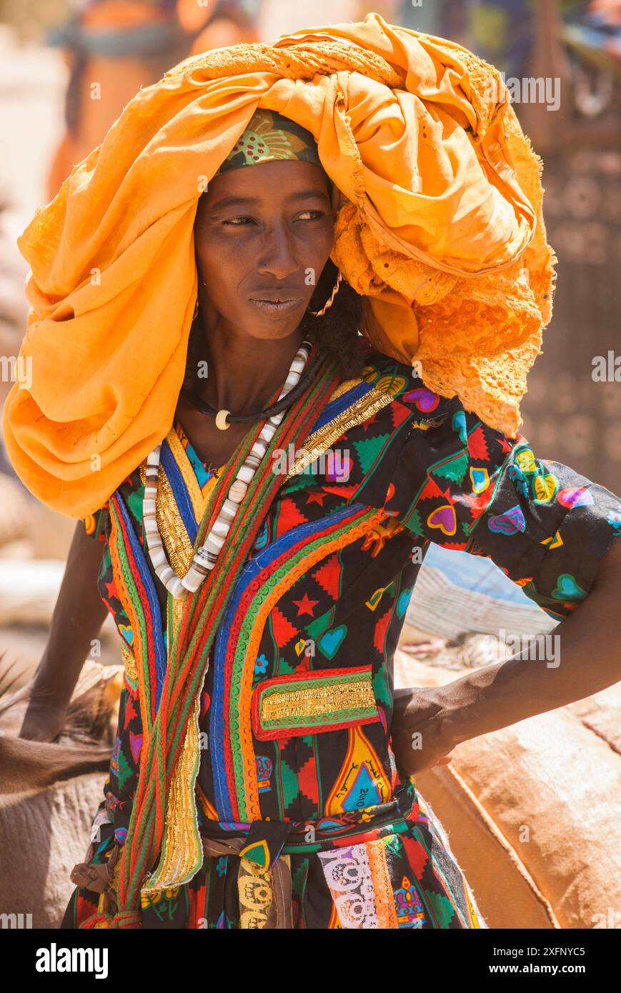 Tribù Ouled Rachid, villaggio Kashkasha vicino al parco nazionale di Zakouma, Ciad, 2010. Foto Stock