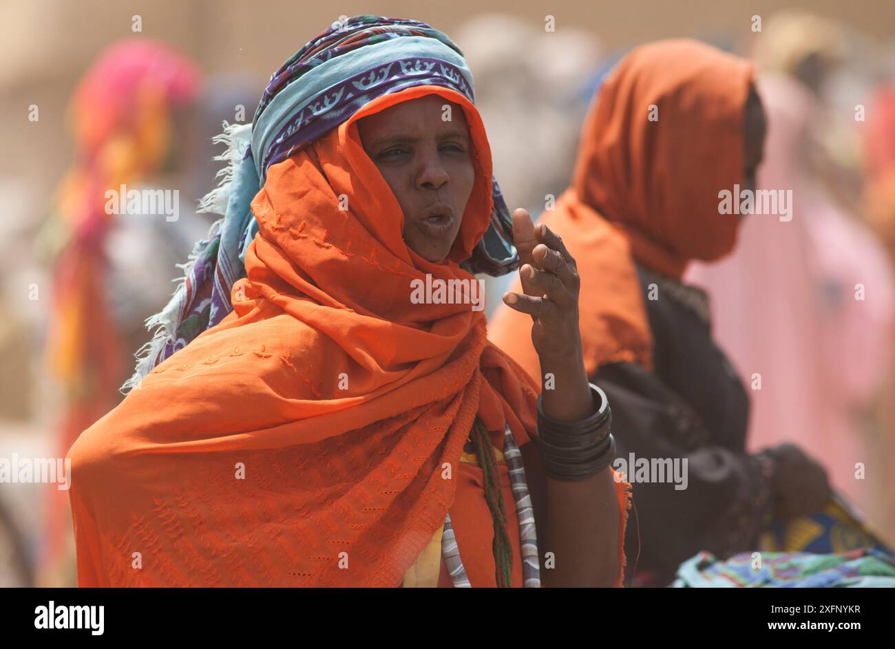 Ouled Rachid, tribù parlante, villaggio Kashkasha vicino al Parco Nazionale di Zakouma, Ciad, 2010. Foto Stock