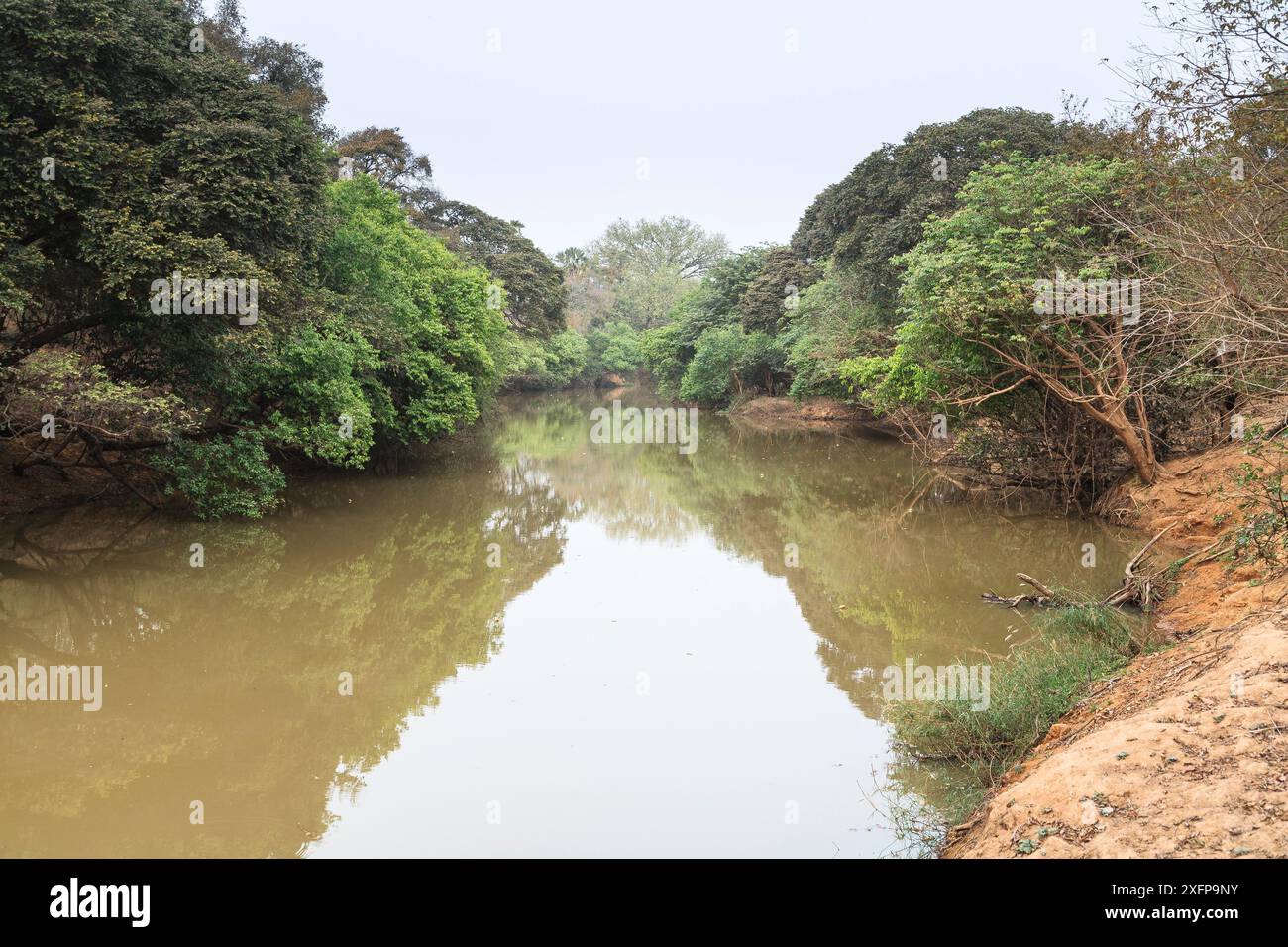 Il fiume Pendjari, confine naturale tra Burkina Faso e Benin, Parco Nazionale Pendjari, Benin. Foto Stock