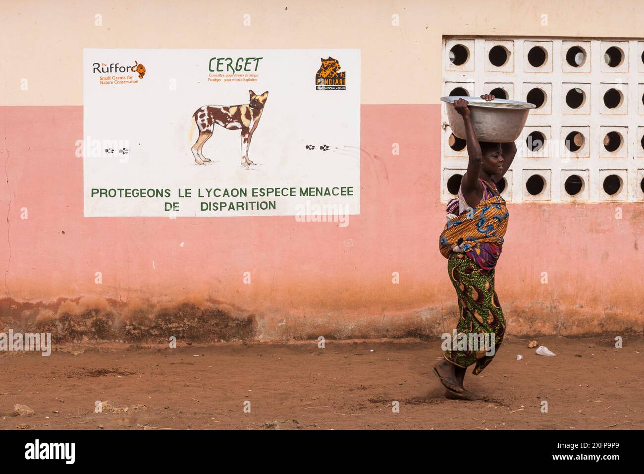 Donna che trasporta il bambino sulla schiena e una grande ciotola d'acqua sulla testa che passa accanto a scuola con la pittura che promuove la protezione per il cane selvatico africano / cane dipinto (Lycaon pictus) in pericolo e molto raro nel Parco Nazionale di Pendjari. Benin. Foto Stock