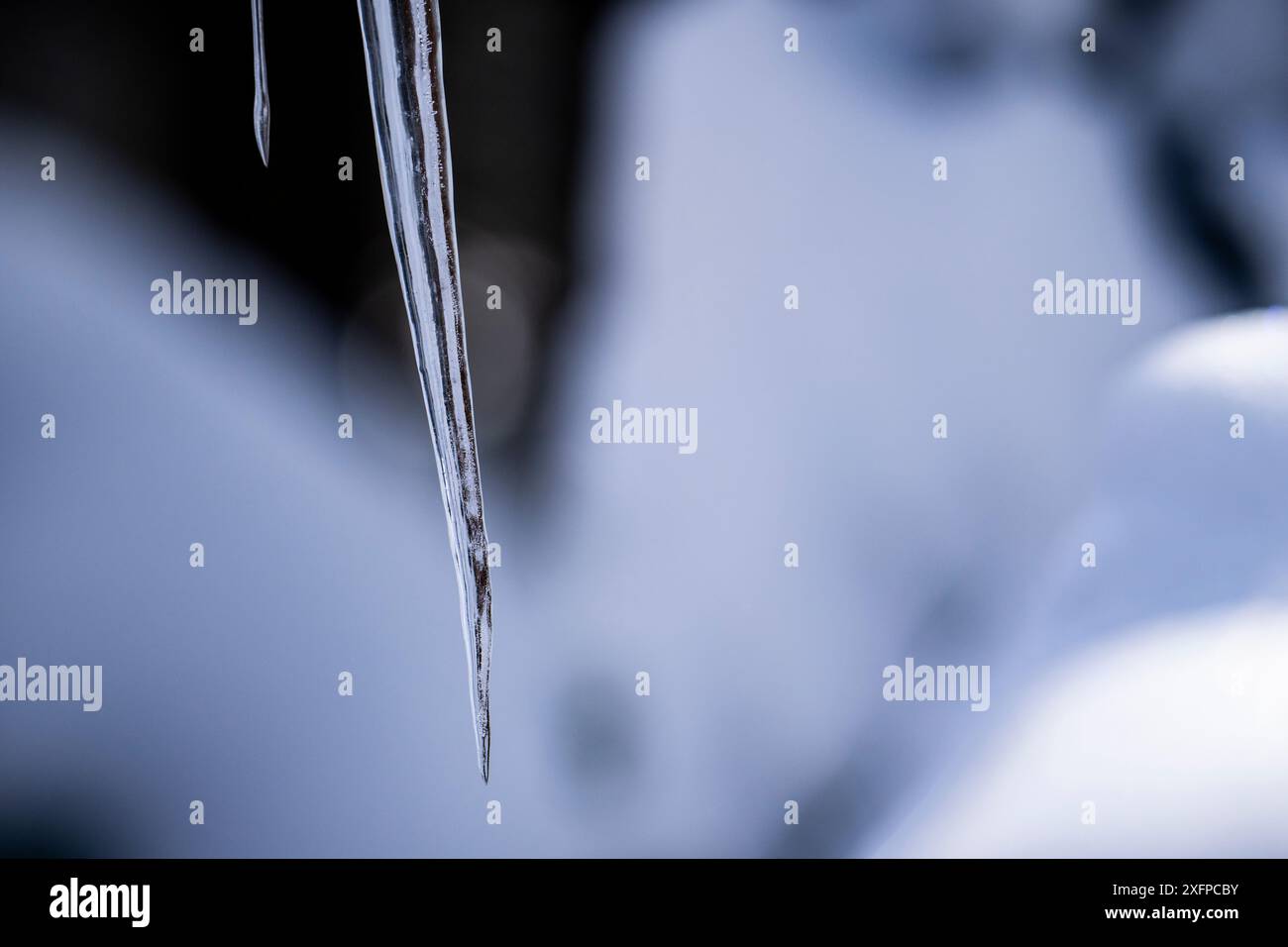 Appendere icicle durante lo scongelamento primaverile Foto Stock