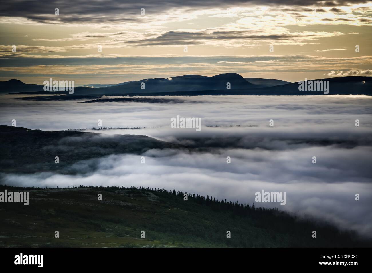 Una vista panoramica della luce dorata del sole nella valle mattutina piena di nebbia nell'Idre, i Monti Dalarna in Svezia, con colline ondulate e un cielo nuvoloso Foto Stock
