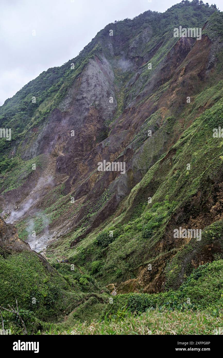 Persone che camminano con una guida nella Valle della Desolazione per raggiungere il "lago bollente", il Parco Nazionale Morne Trois Pitons, sito patrimonio dell'umanità dell'UNESCO, Dominica. Febbraio 2015. Foto Stock