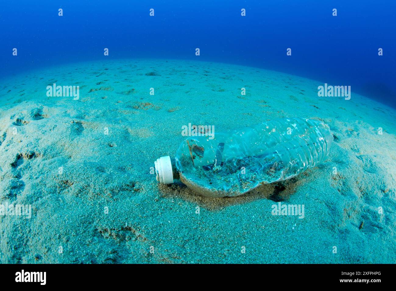 Bottiglia di plastica sul fondo del mare, Isola di Ponza, Italia, Mar Tirreno, Mar Mediterraneo. Foto Stock