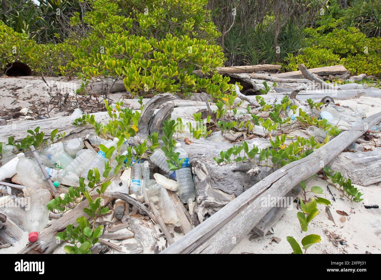 Rifiuti di plastica, principalmente bottiglie, lavati sulla spiaggia di un'isola disabitata nel Mar Cinese meridionale. Foto Stock