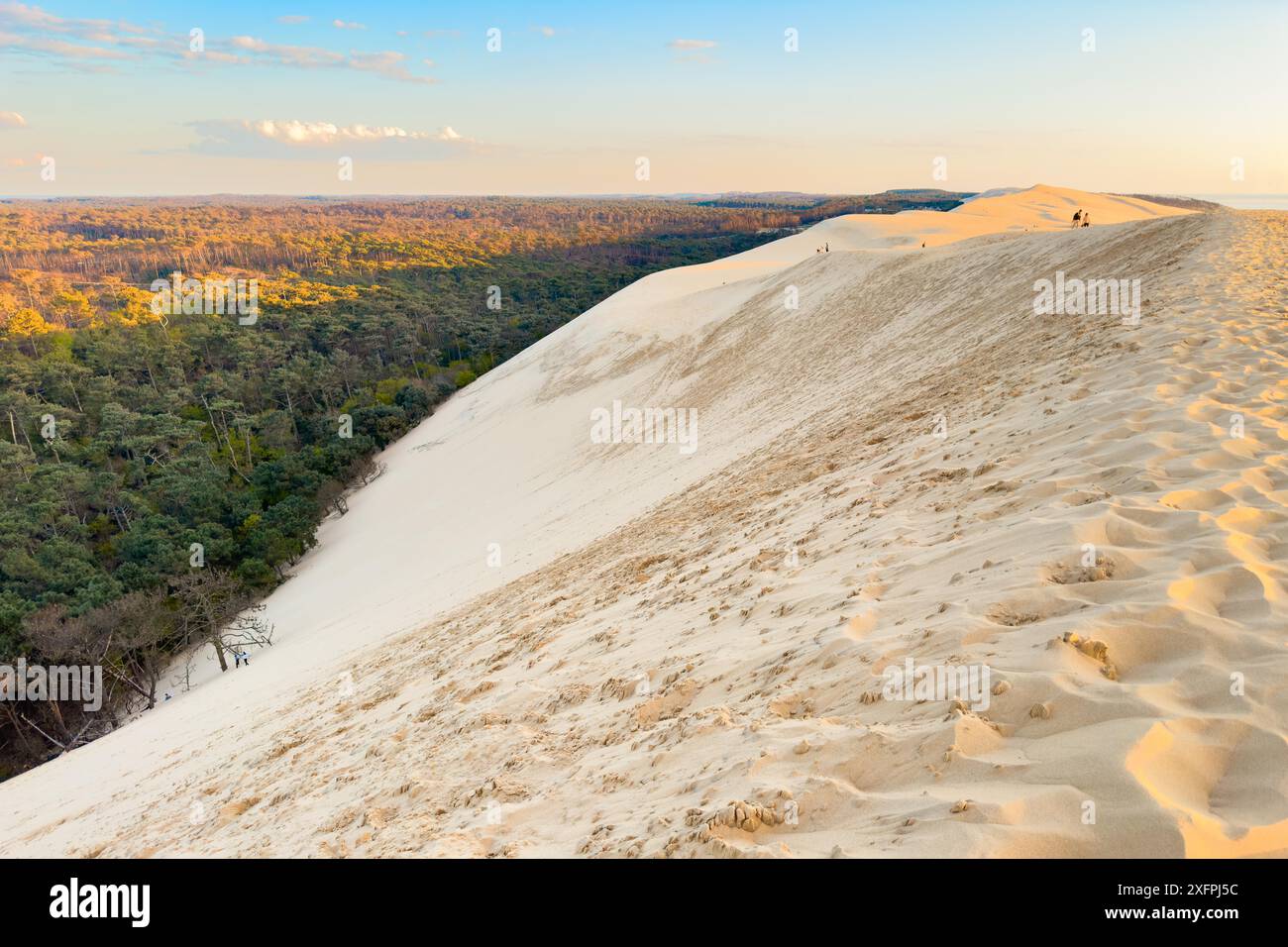 Dune du Pilat, la più grande duna di sabbia d'Europa, in Francia. Fotografia di alta qualità Foto Stock
