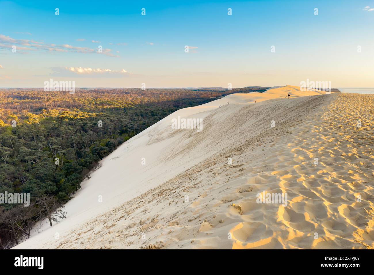 Dune du Pilat, la più grande duna di sabbia d'Europa, in Francia. Fotografia di alta qualità Foto Stock