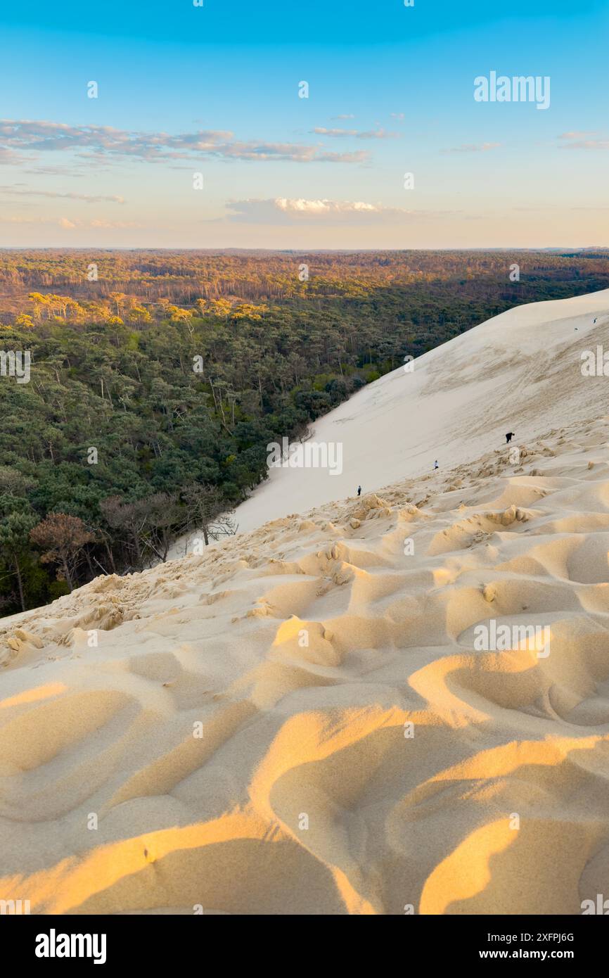 Dune du Pilat, la più grande duna di sabbia d'Europa, in Francia. Fotografia di alta qualità Foto Stock