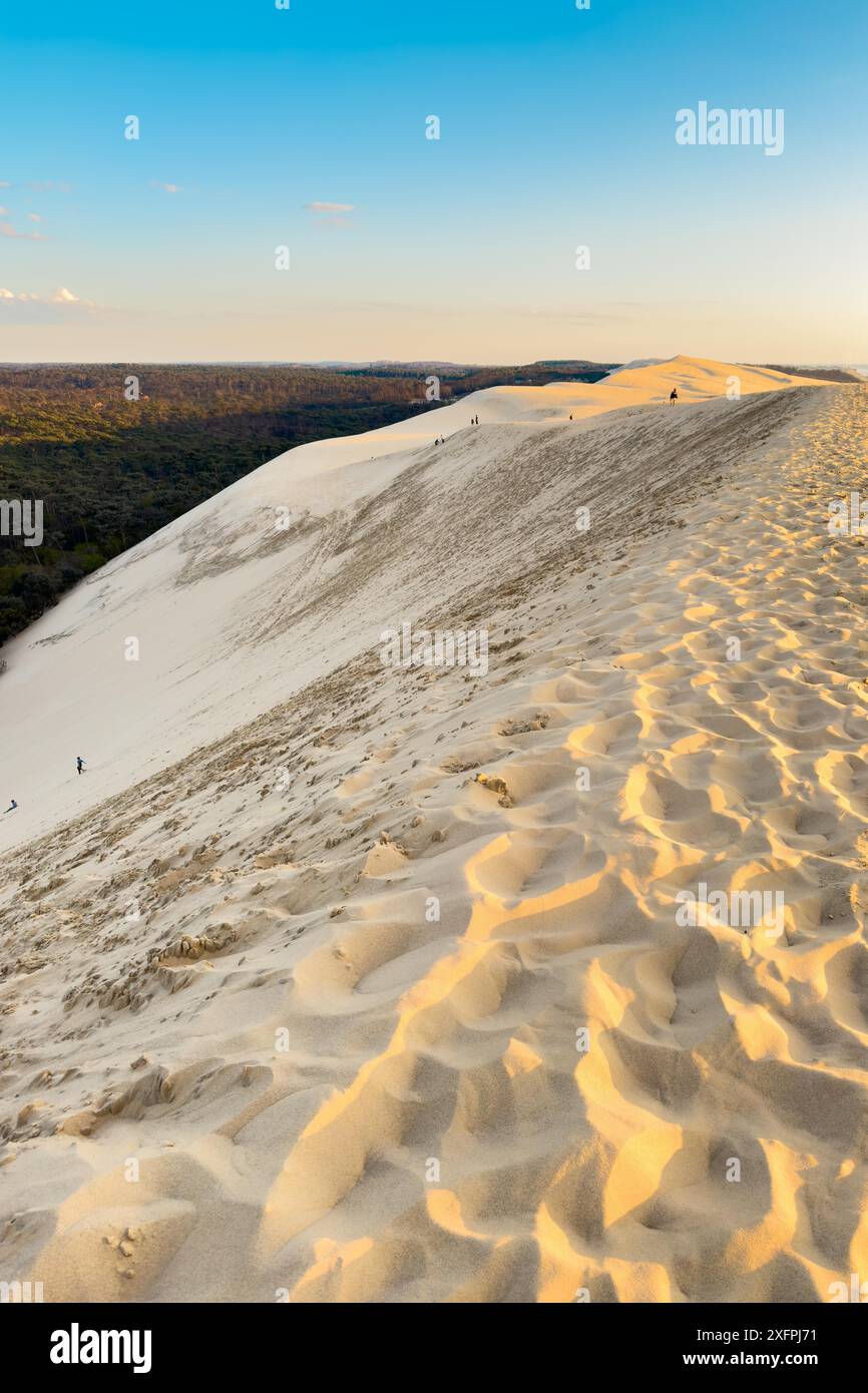 Dune du Pilat, la più grande duna di sabbia d'Europa, in Francia. Fotografia di alta qualità Foto Stock