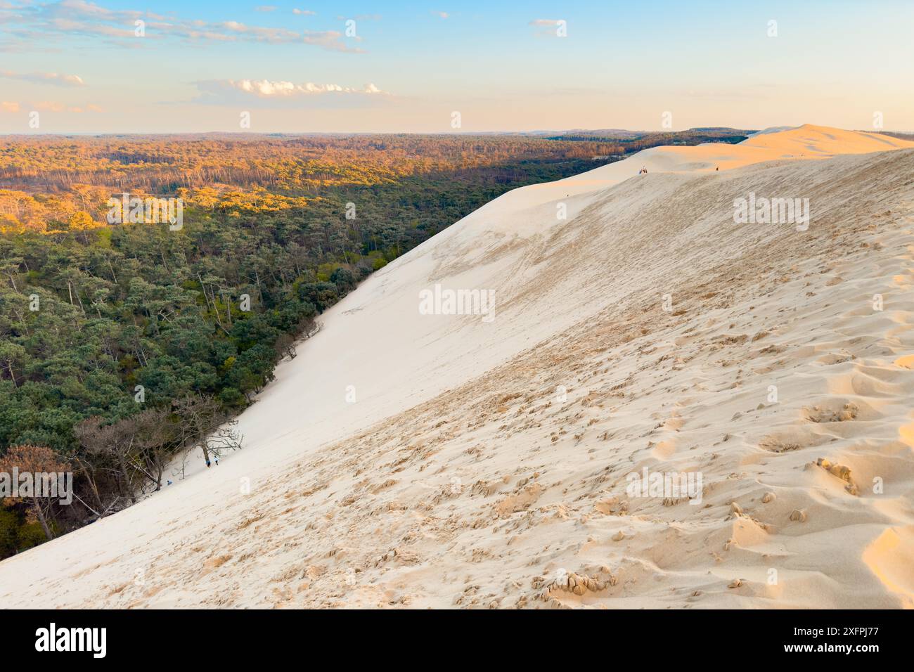 Dune du Pilat, la più grande duna di sabbia d'Europa, in Francia. Fotografia di alta qualità Foto Stock
