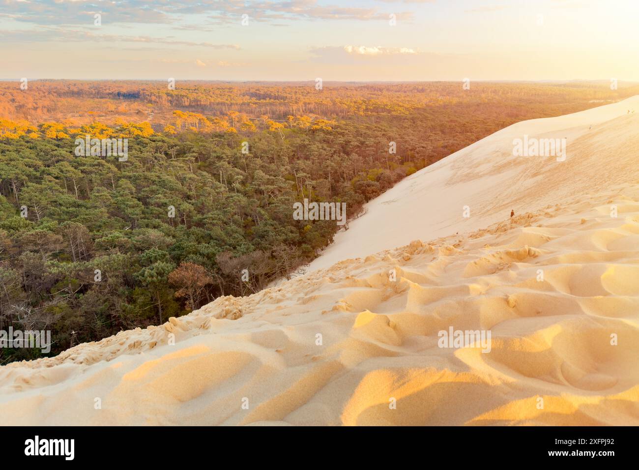 Dune du Pilat, la più grande duna di sabbia d'Europa, in Francia. Fotografia di alta qualità Foto Stock