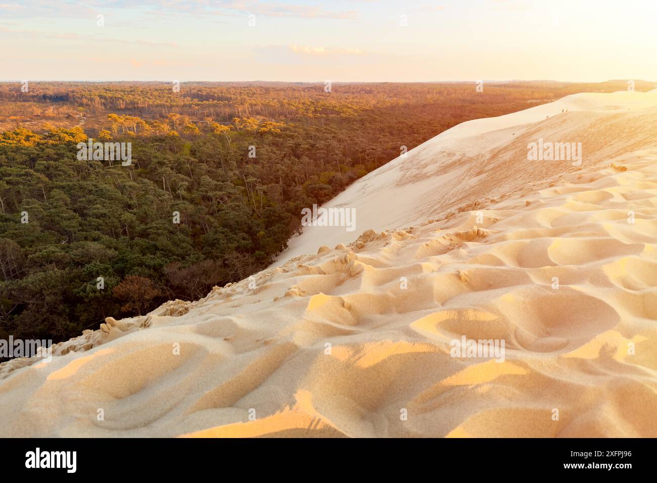 Dune du Pilat, la più grande duna di sabbia d'Europa, in Francia. Fotografia di alta qualità Foto Stock