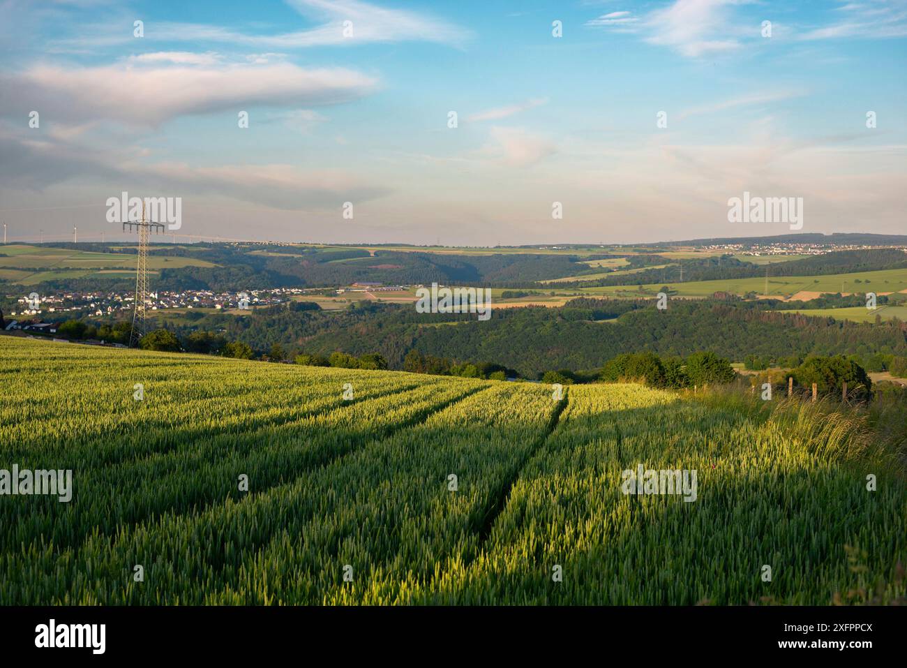 Campo con orzo coltivato Germania, raccolto in estate, agricoltura per cibo, terreni agricoli in campagna Foto Stock