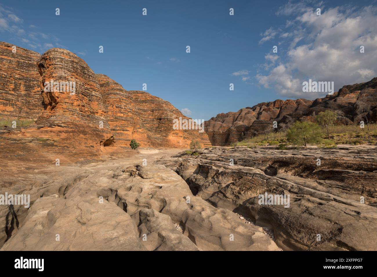 Letto secco del fiume che conduce alla straordinaria gamma di torri a cono a forma di alveare che compongono la catena della giungla. Le formazioni rocciose sono causate dall'erosione dell'arenaria carsica, dal Parco Nazionale di Purnululu, sito Patrimonio dell'Umanità dell'UNESCO, Kimberley, Australia Occidentale. Giugno 2016. Foto Stock