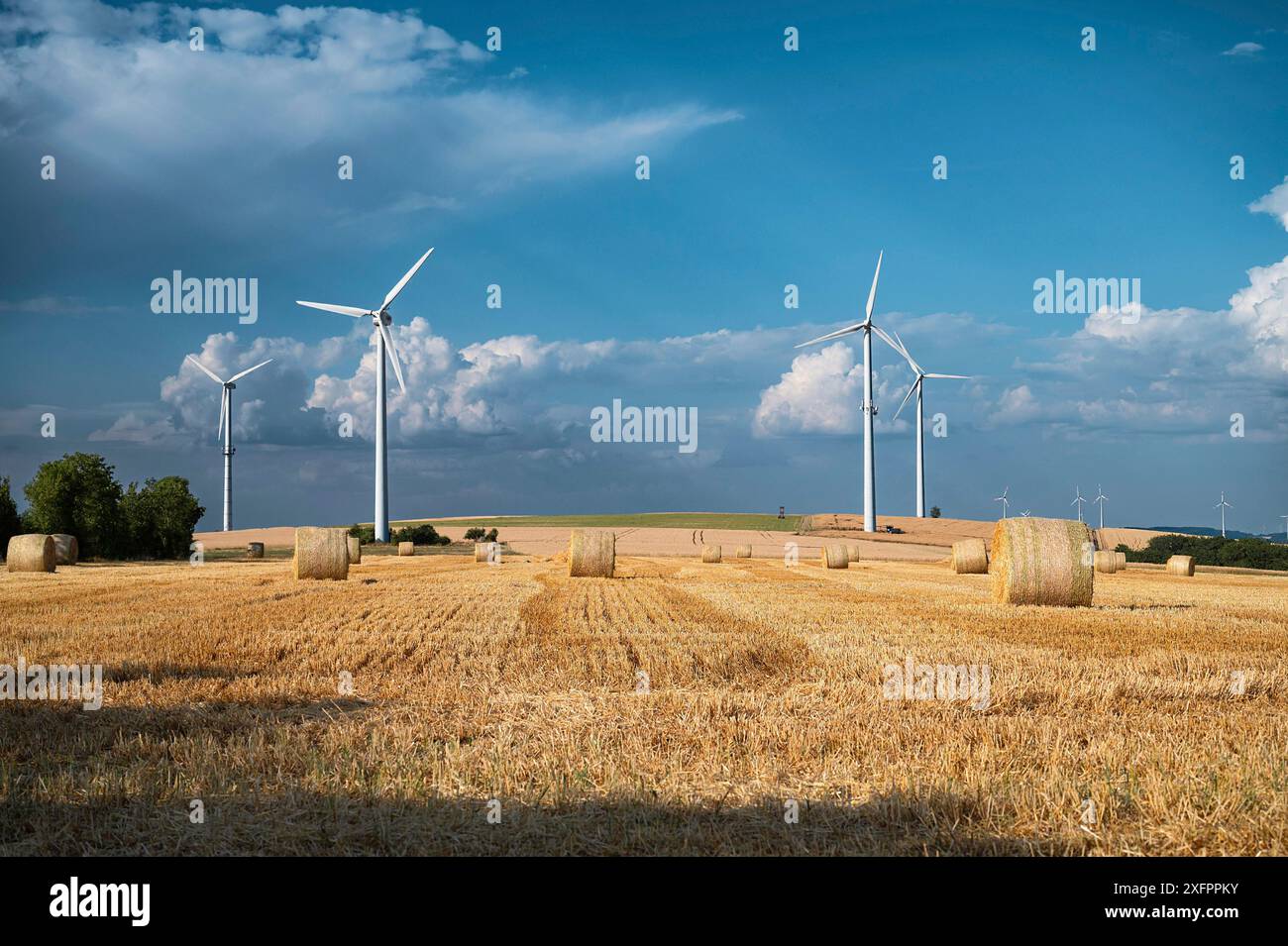 Balla di paglia sul campo, orzo coltivato, raccolto in estate, agricoltura per il cibo, terreni agricoli in campagna, energia rinnovabile sostenibile Foto Stock