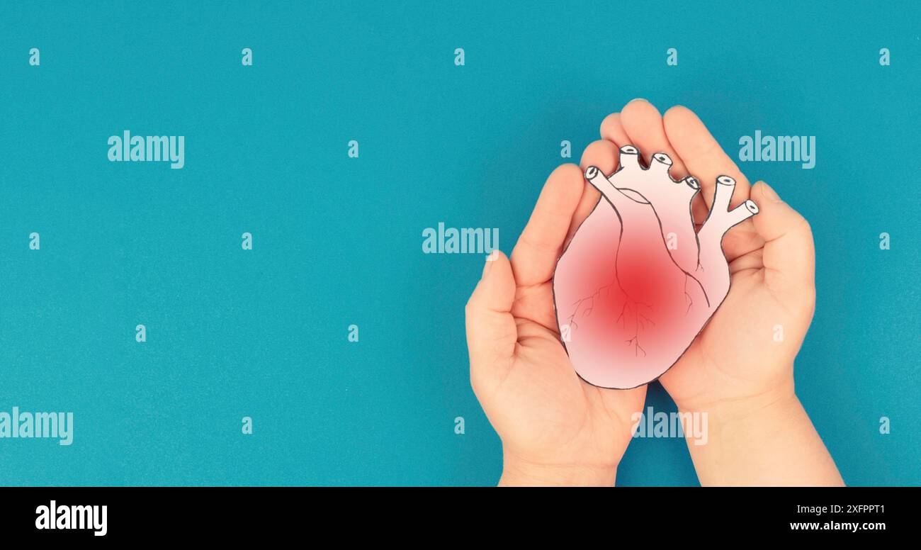 Infarto, malattia della miocardite, infiammazione del muscolo, trombosi e stress cardiaco, mani che tengono l'organo umano Foto Stock