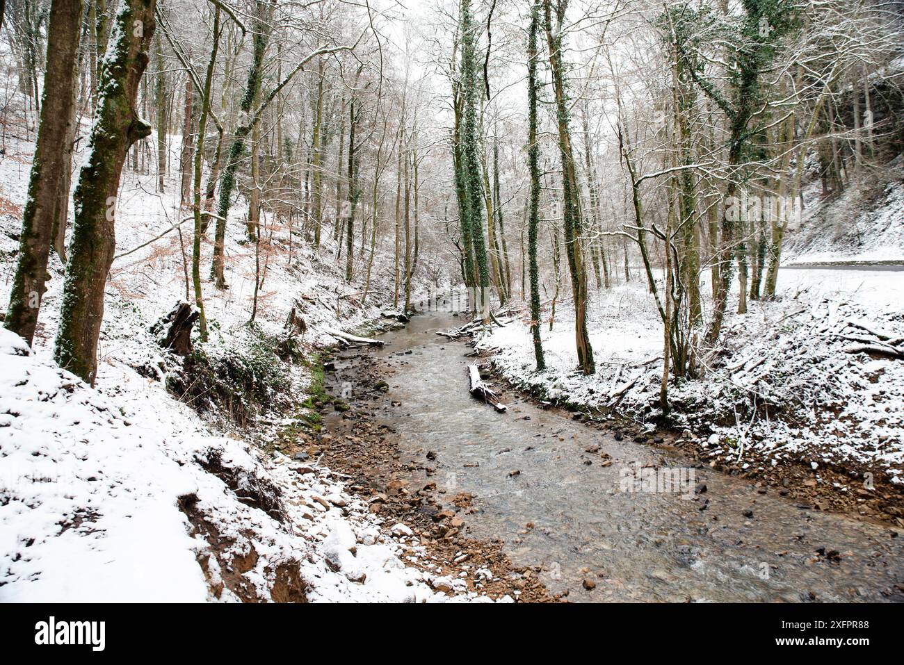 Foresta con il torrente Black Ernz alla cascata Scheissendempel ricoperta di neve, sentiero Mullerthal a Waldbillig, Lussemburgo in inverno Foto Stock