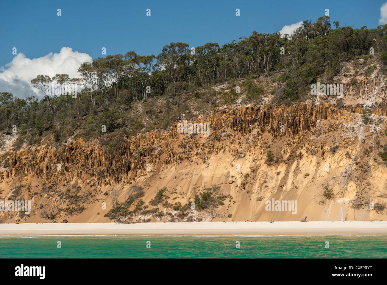 Costa di Fraser Island, Hervey Bay, Queensland, Australia settembre 2016. Foto Stock