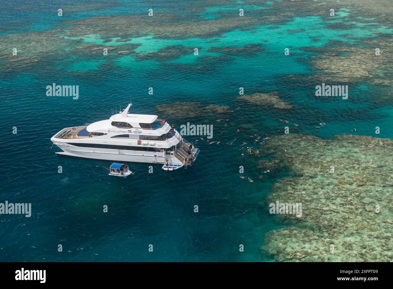 Antenne di snorkelling che nuotano nelle barriere coralline della grande Barriera Corallina dall'imbarcazione Evolution, grande Barriera Corallina, Queensland, Australia ottobre 2016. Foto Stock