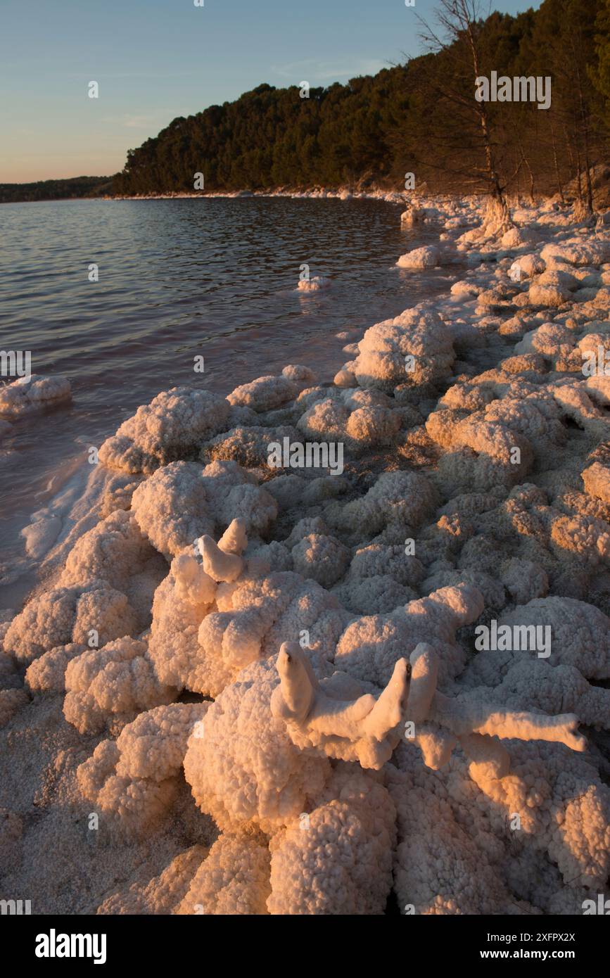 Cristallizzazione del sale intorno ai bordi del lago di acqua salata Etang de Lavalduc, Provenza, Francia. Settembre. Foto Stock