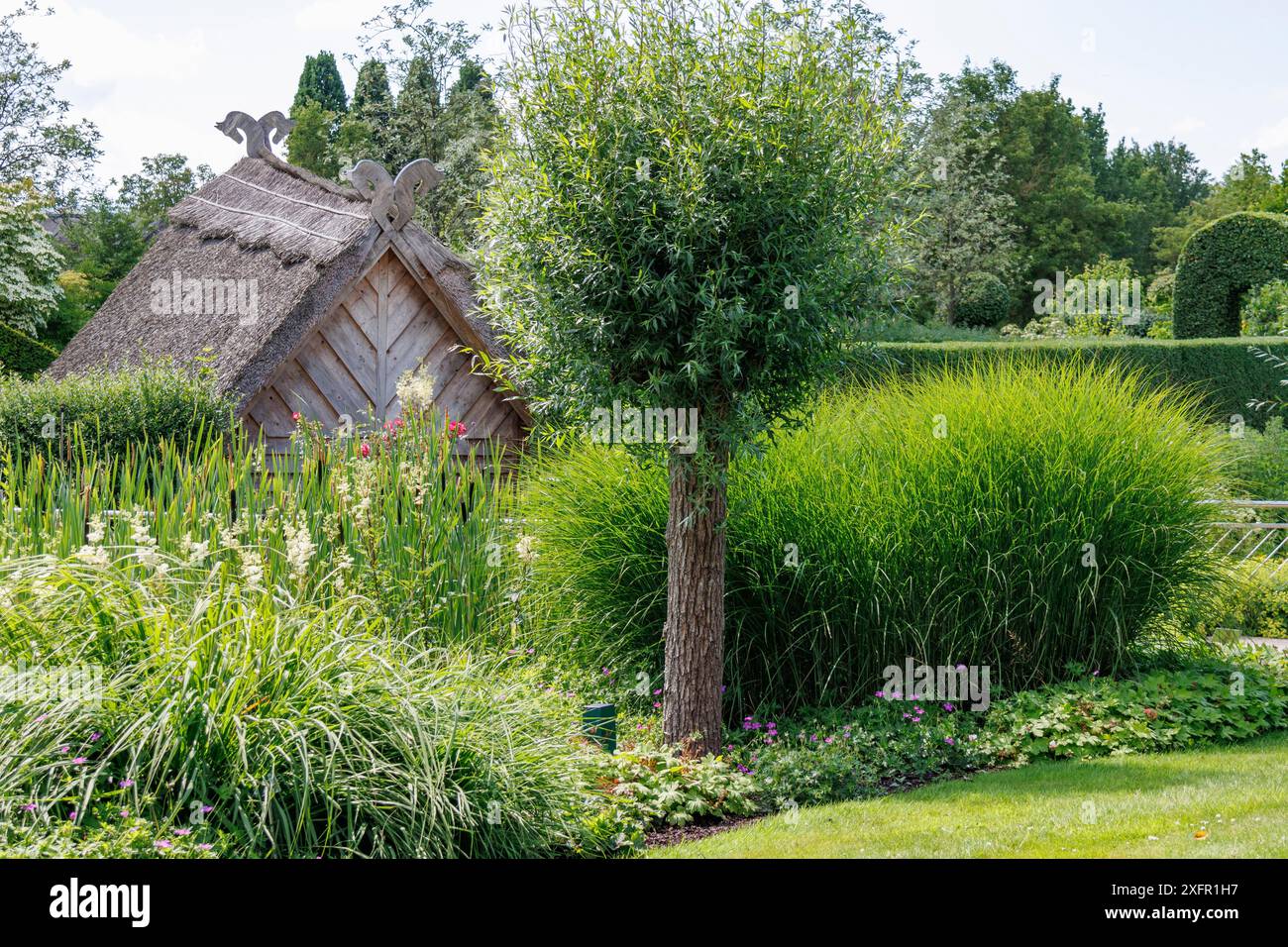 Giardino idilliaco con una casa con tetto di paglia e un albero, Bad Zwischenahn, bassa Sassonia, Germania Foto Stock