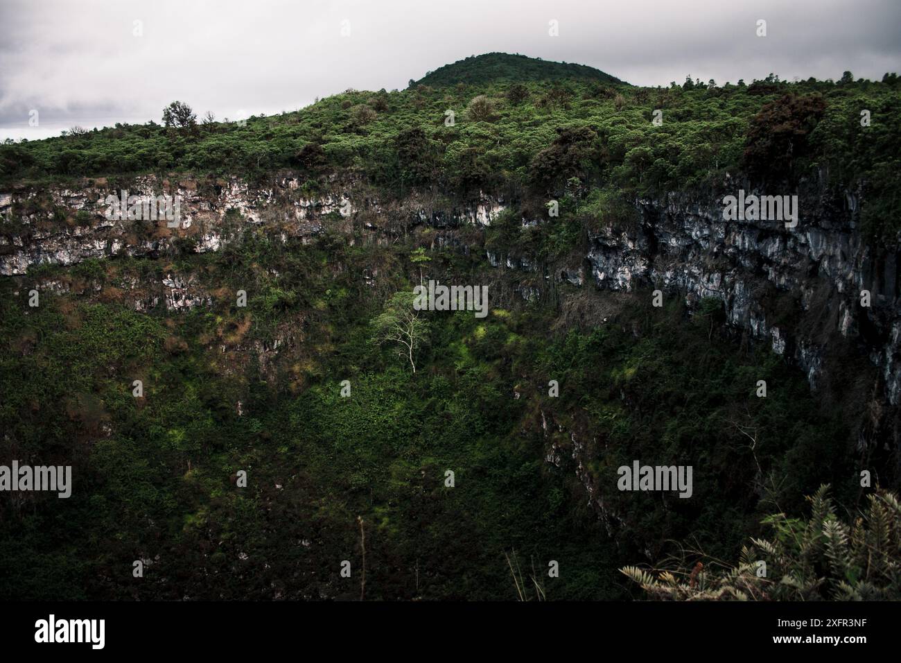 Scopri la bellezza mozzafiato delle Galapagos con questa splendida vista di un lussureggiante cratere vulcanico, brulicante di una ricca vegetazione e di una vita vivace. Foto Stock