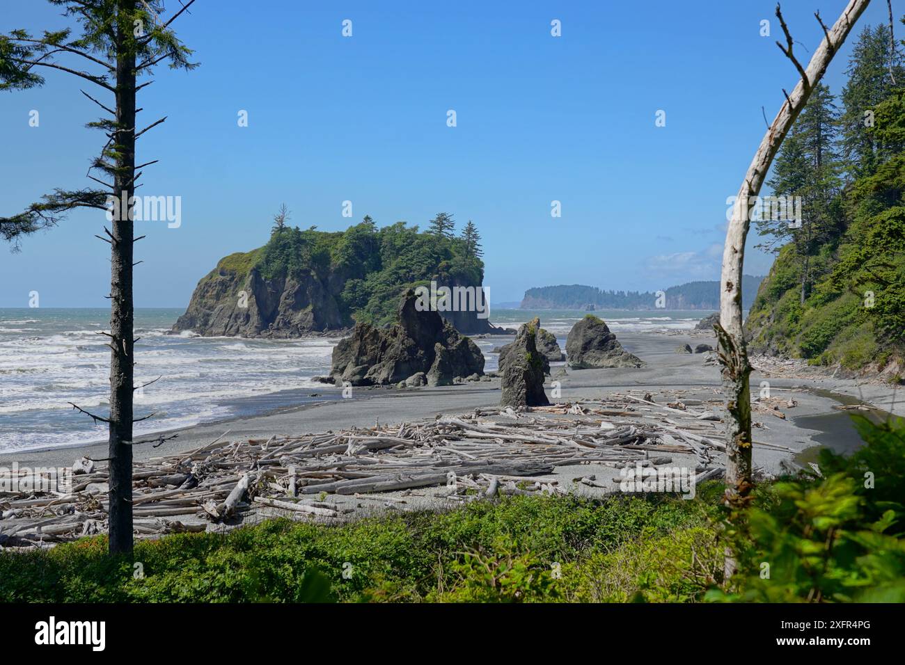 Costa di Washington a Ruby Beach nell'Olympic National Park Foto Stock