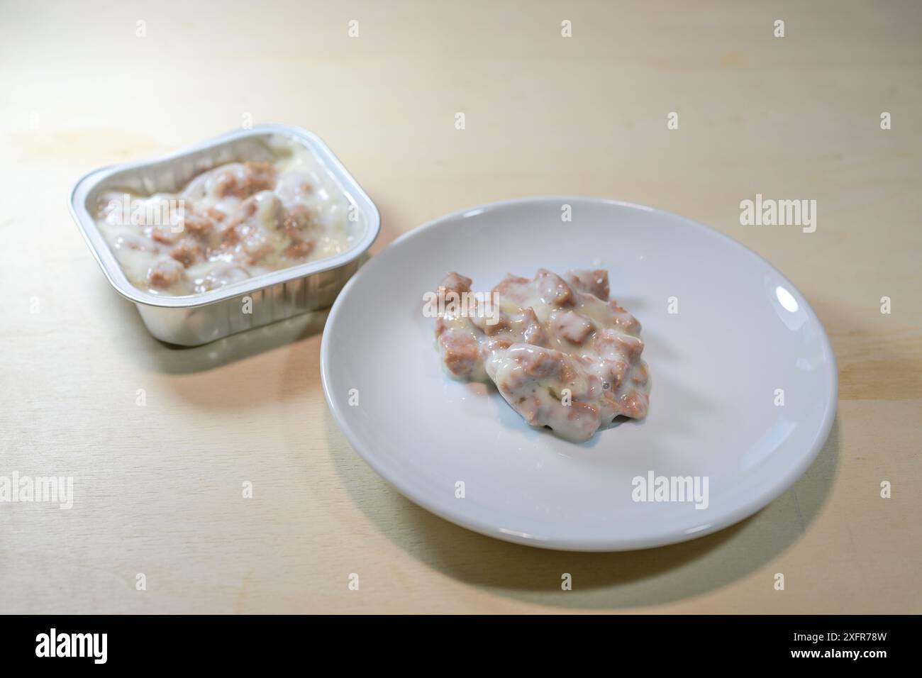 Alimenti Cat, alimenti umidi disponibili in commercio realizzati con sottoprodotti di origine animale su un piatto e in scatola in alluminio monouso, spazio per copie, selezione Foto Stock