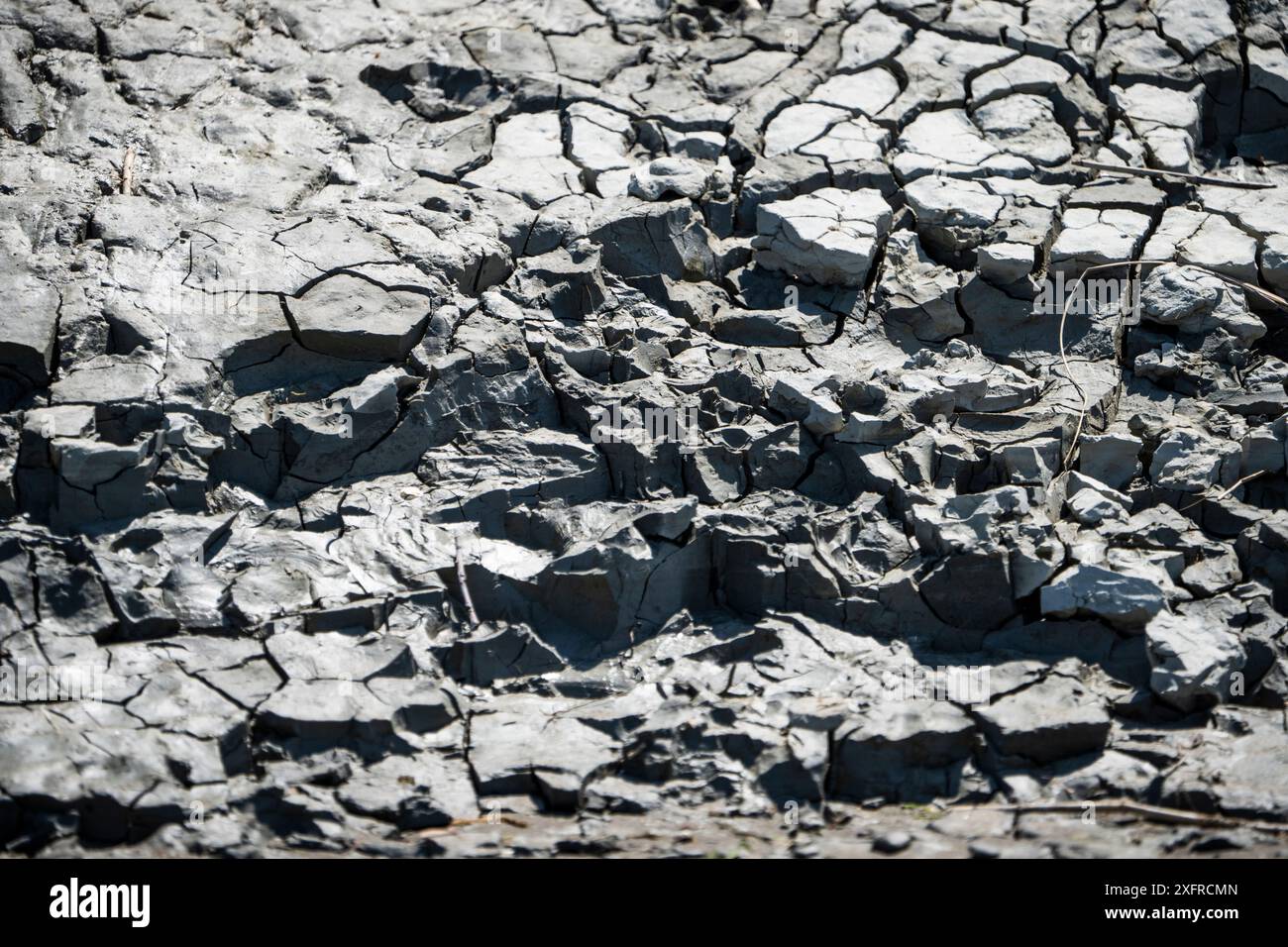 Argilla secca sulle rive del fiume St. Lawrence. Foto Stock