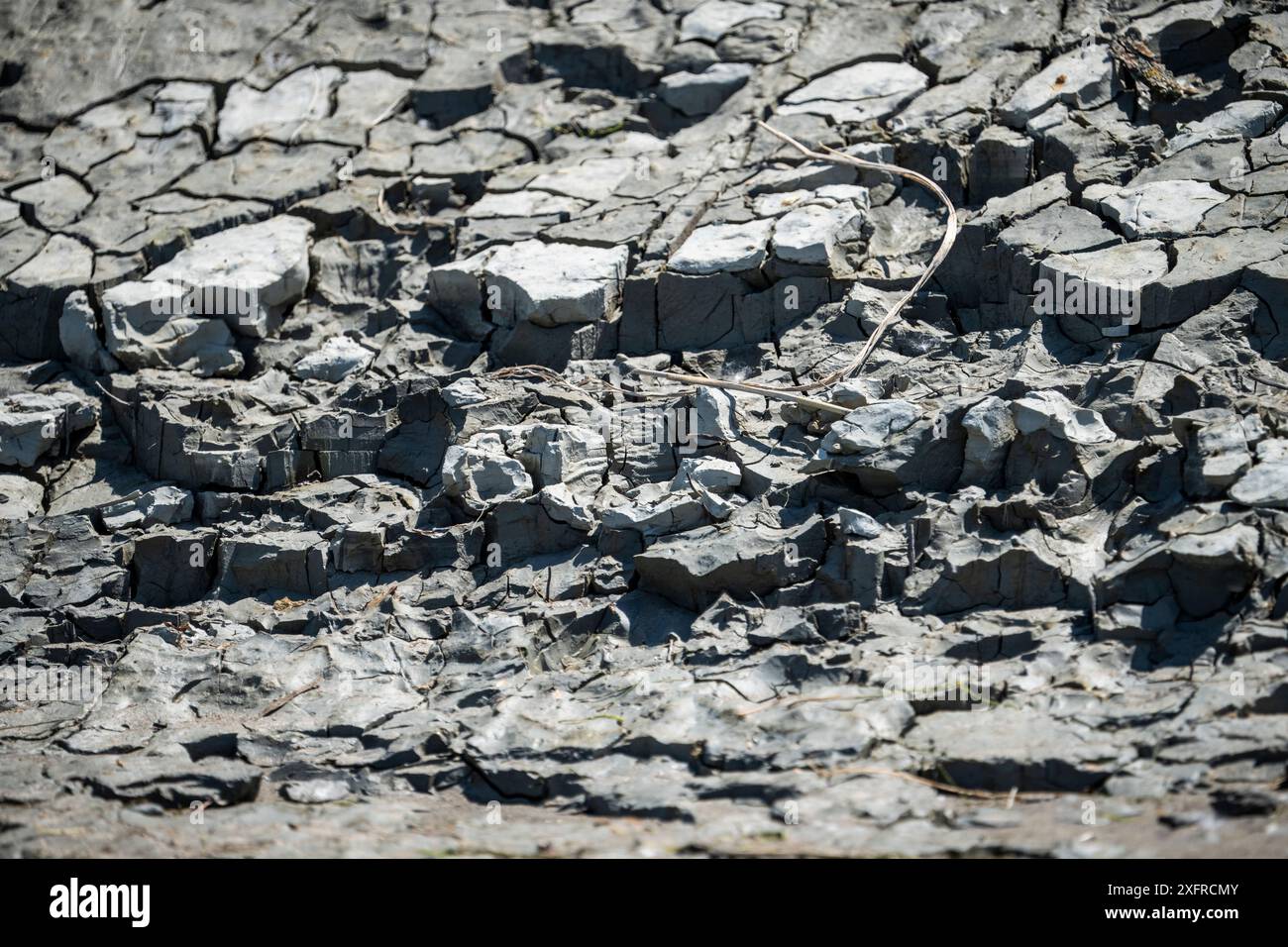 Argilla secca sulle rive del fiume St. Lawrence. Foto Stock