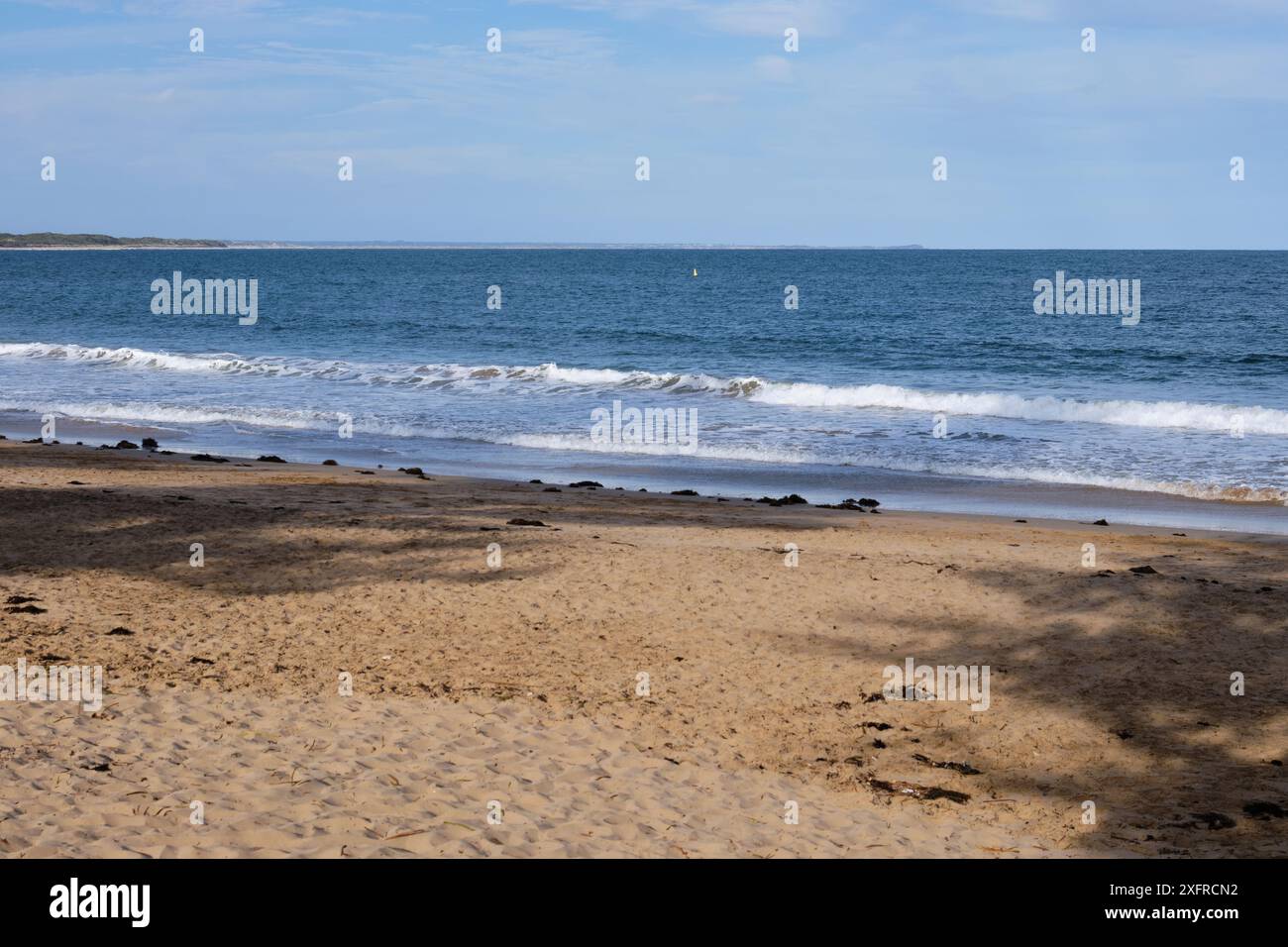 Fishermans Beach è una spiaggia di sabbia pulita con piccole onde, ideale per famiglie con bambini piccoli - Torquay, Victoria, Australia Foto Stock