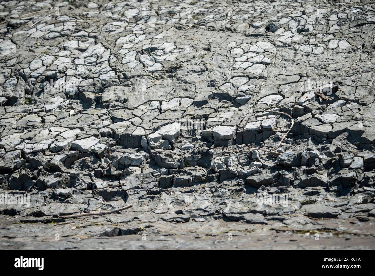 Argilla secca sulle rive del fiume St. Lawrence. Foto Stock