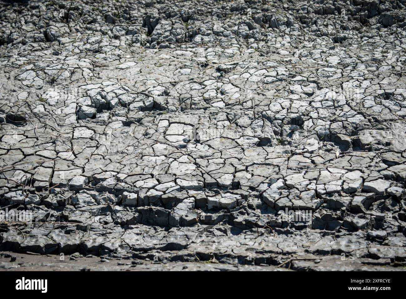 Argilla secca sulle rive del fiume St. Lawrence. Foto Stock