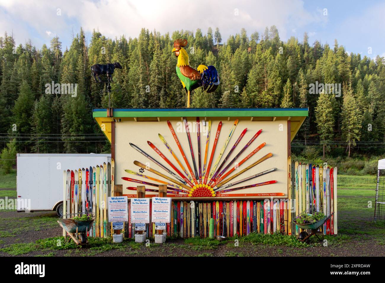 Struttura decorata con sci sulla facciata e un gigantesco gallo ornamentale sul tetto, pineta sullo sfondo, Pagosa Springs, Colorado, USA. Foto Stock