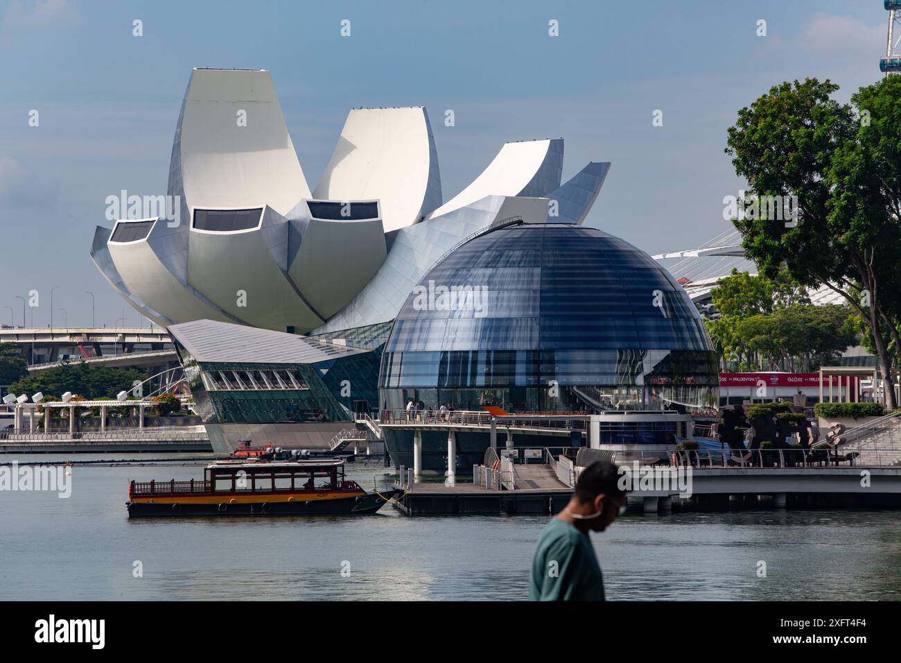 Un uomo passeggia davanti al Museo ArtScience, al negozio galleggiante Apple presso Marina Bay Sands, un'attrazione popolare da esplorare durante le vacanze a Singapore. Foto Stock