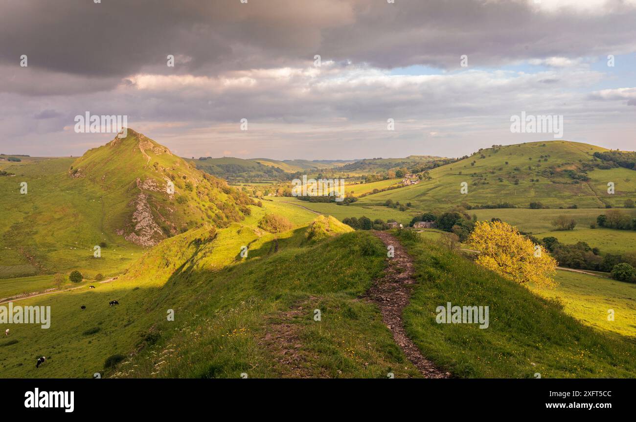 La luce del sole d'oro colpisce Parkhouse Hill da Chrome Hill nel Peak District Derbyshire East midlands Inghilterra Regno Unito Foto Stock